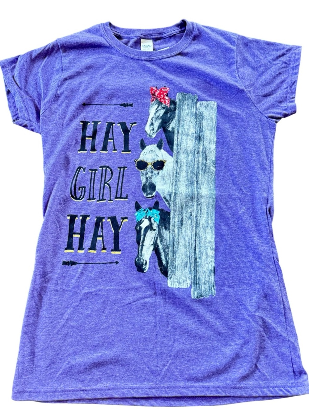 NWT Purple Lost Creek Outfitters Gilden “Hay Girl Hay" Soft Style Horse T-Shirt